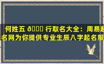何姓五 🍁 行取名大全：周易起名网为你提供专业生辰八字起名服务！